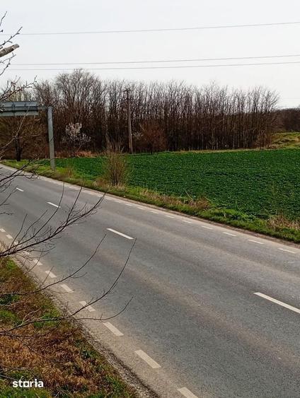 Teren intravilan 5.000 m2 cu 40 m deschidere la DN2A langa Kaufland - 17