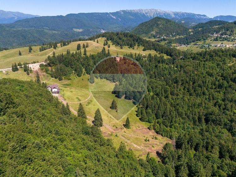 Teren agricol extravilan de 52519 mp, în Dâmbovicioara