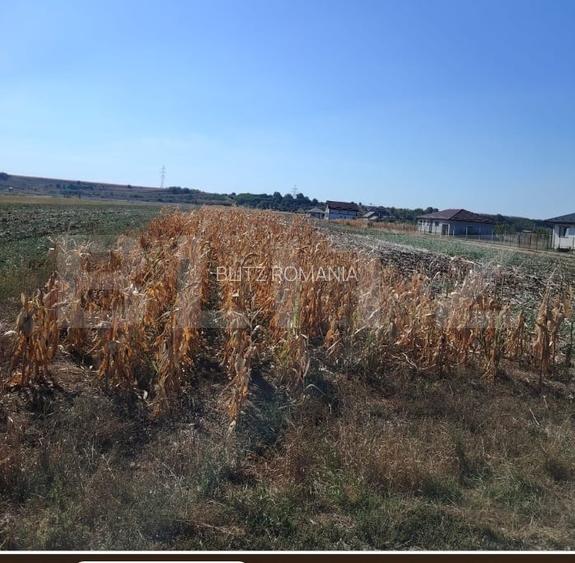 Teren intravilan agricol, 3.000 mp, zona Mihai Viteazu