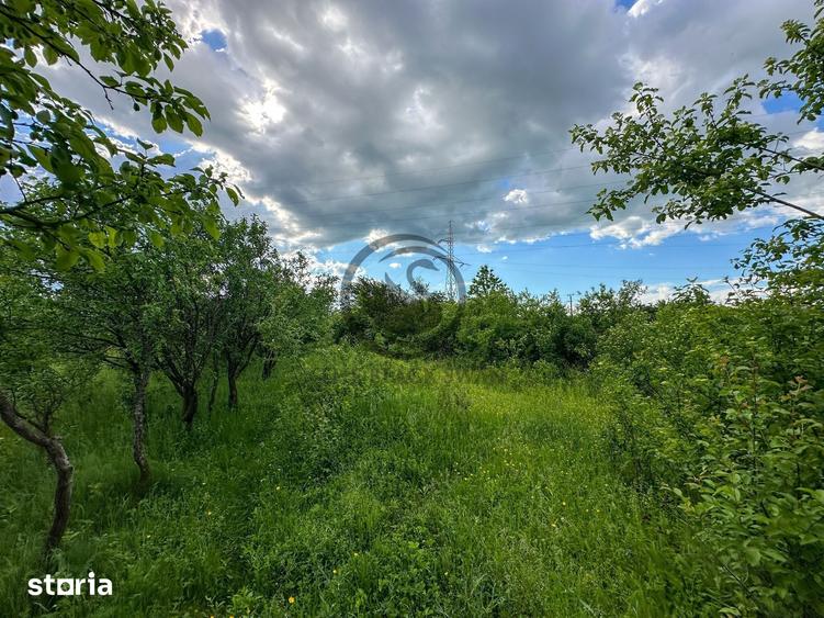 Teren de 3600 mp, în Gura Vitioarei
