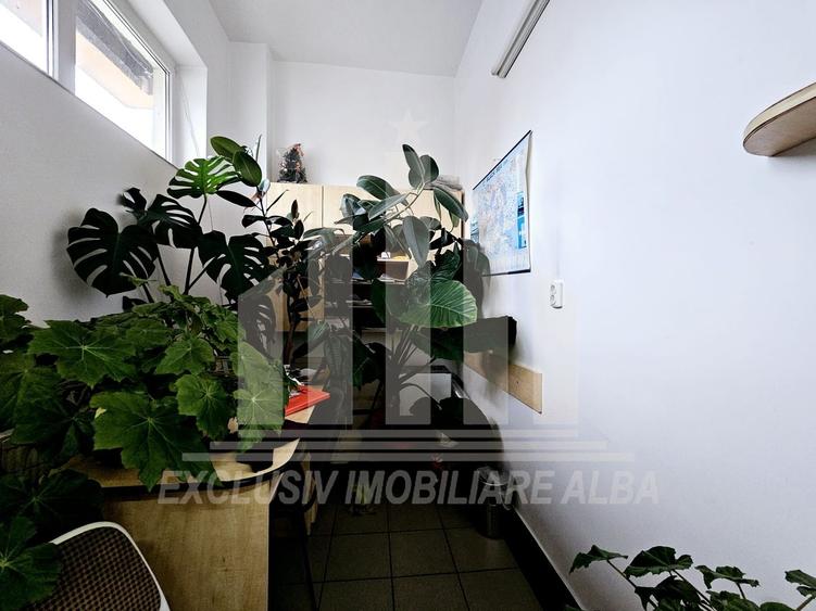 Spațiu comercial, de 110 mp, în Cetate