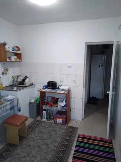 Garsonieră decomandată, mobilată în Alexandru cel Bun