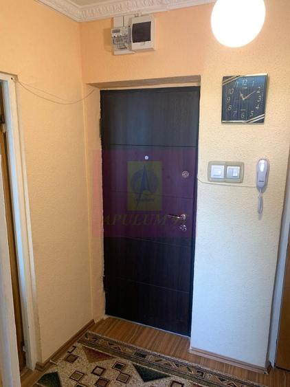 Apartament cu vedere panoramica catre Parcul Plumbuita- Colentina. - 24