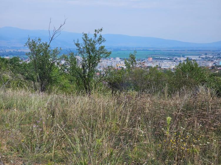 Teren Construcții intravilan de 400 mp, în Călugareni