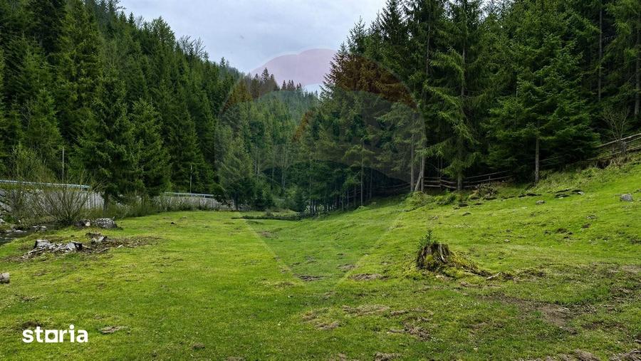 Teren de 4331 mp, în Arieșeni