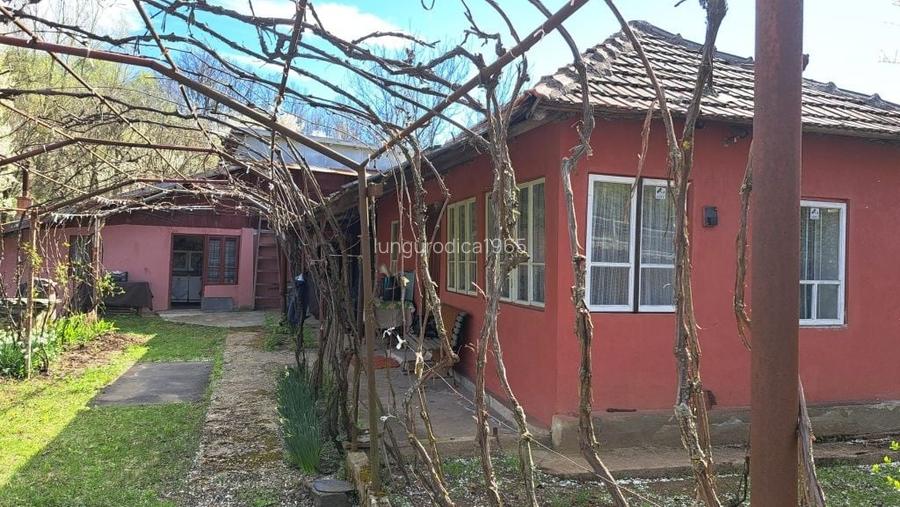 Casa +teren de vanzare