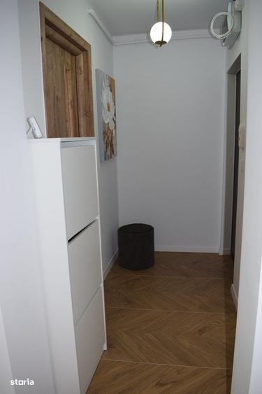 Apartament 2 camere , complet nou, renovat modern , zona Bd. V Miles - 11