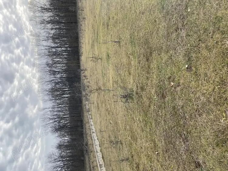 Teren de 950 mp, în Central