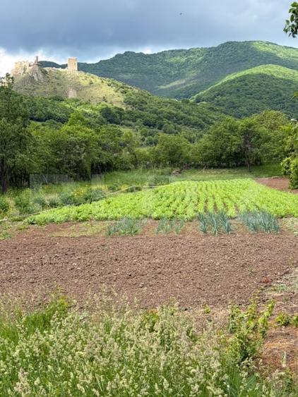 Casă individuală cu 3 camere cu Teren 1687 Mp în Buru