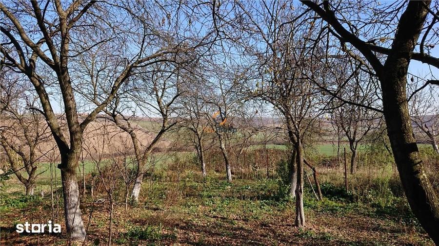 Teren de 2583 mp, în Hidiș