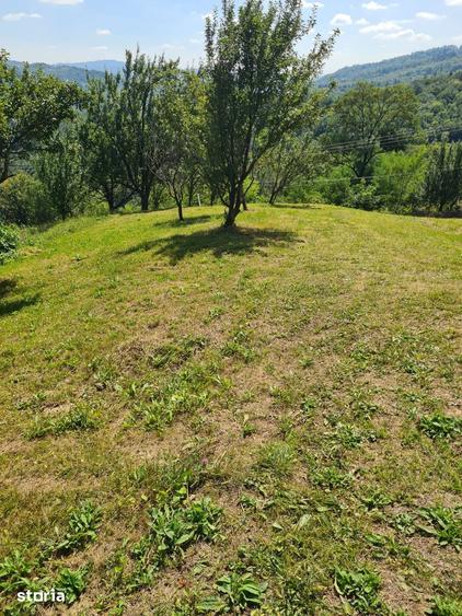 Teren de 10000 mp, în Șotrile