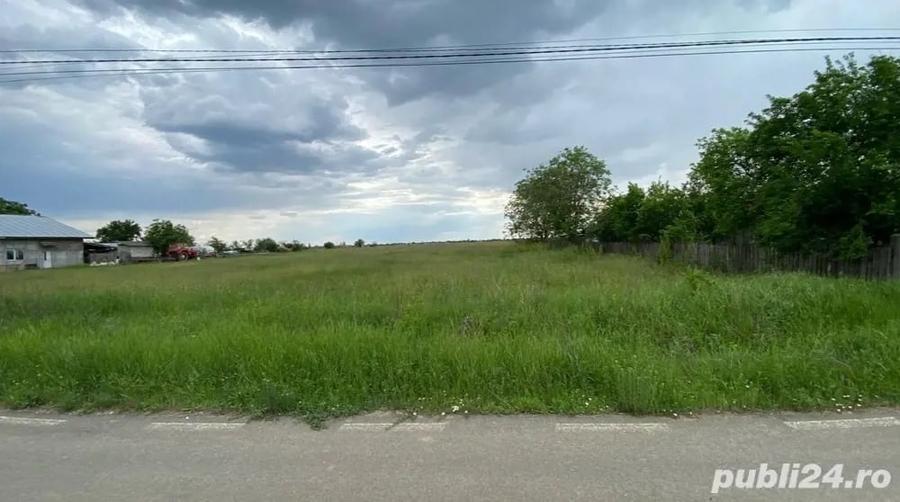 Teren de 7000 mp, în Bâldana