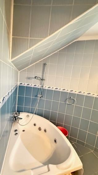BAIA SPRIE - spre Cavnic Vila D+P+E 168mp + anexa cu teren 1526mp! - 18