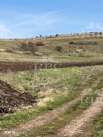 Teren de 6300 mp, în Gârbău