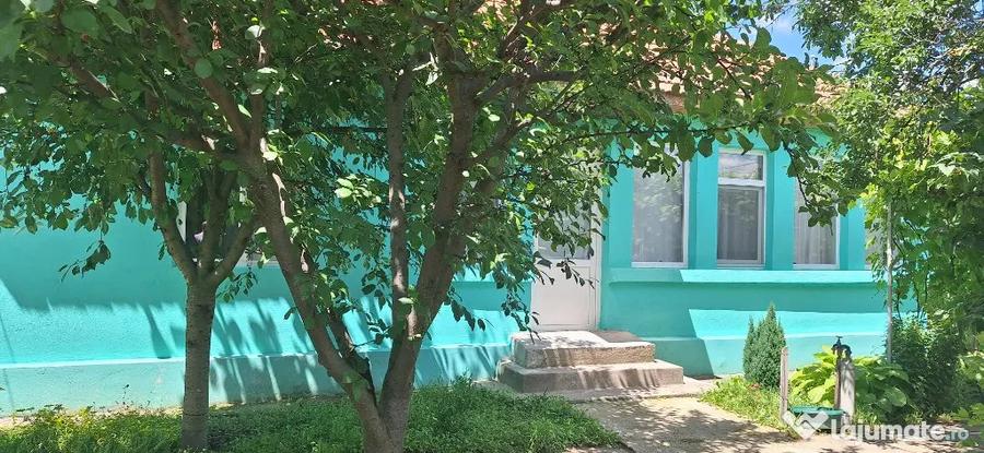 Casă cu 3 camere cu Teren 3400 Mp în Icoana