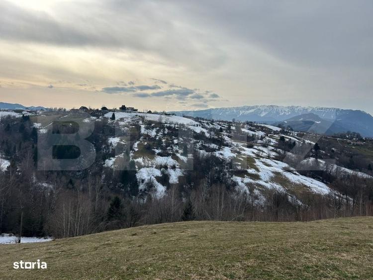 Spațiu comercial, în Bran