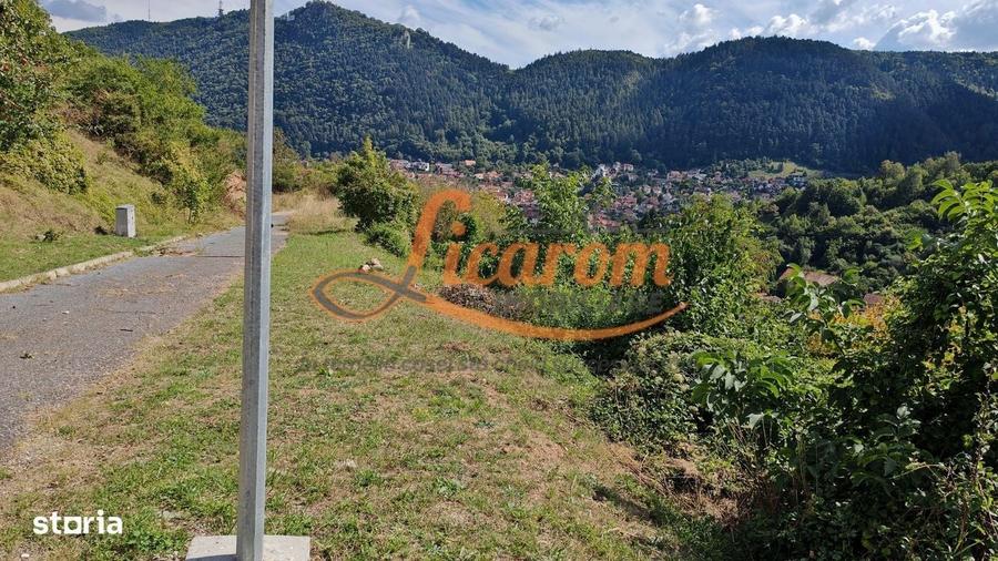 Spațiu comercial, în Drumul Poienii