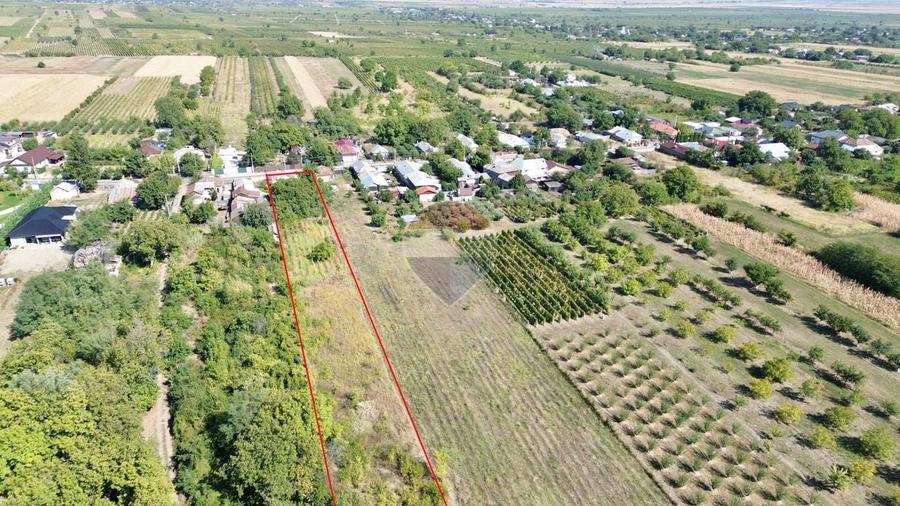 Casă individuală cu 3 camere cu Teren 2802 Mp în Țifești