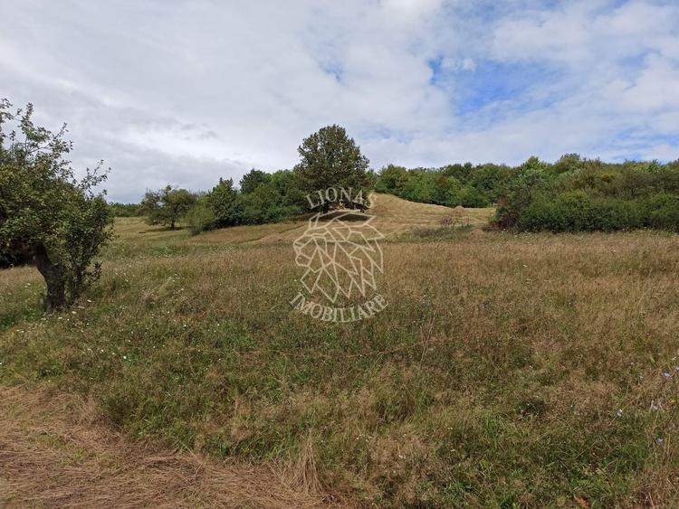Teren agricol extravilan de 5200 mp, în Livezile