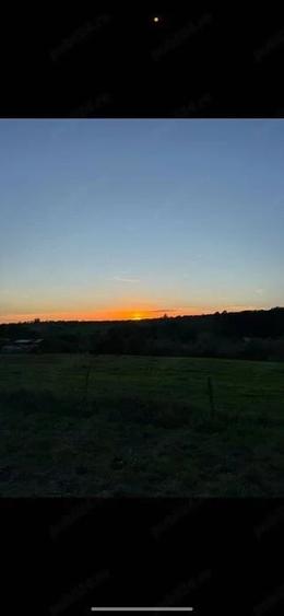 Teren de 6000 mp, în Sălciua Nouă