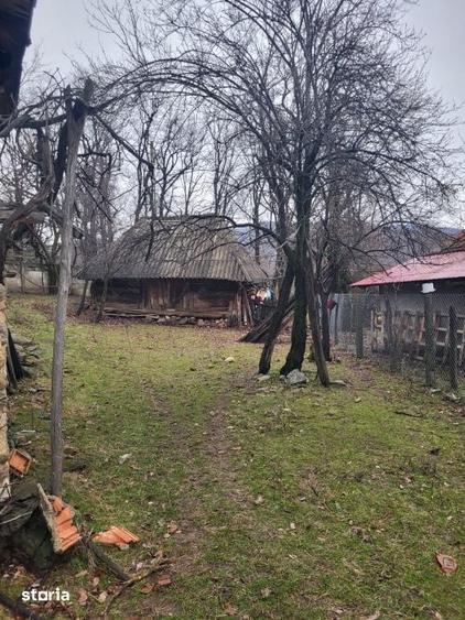 Teren de 4790 mp, în Mușetești