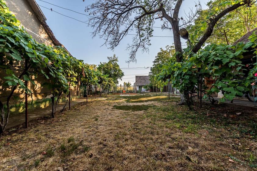 Casă individuală cu 3 camere cu Canalizare în Dorobanți