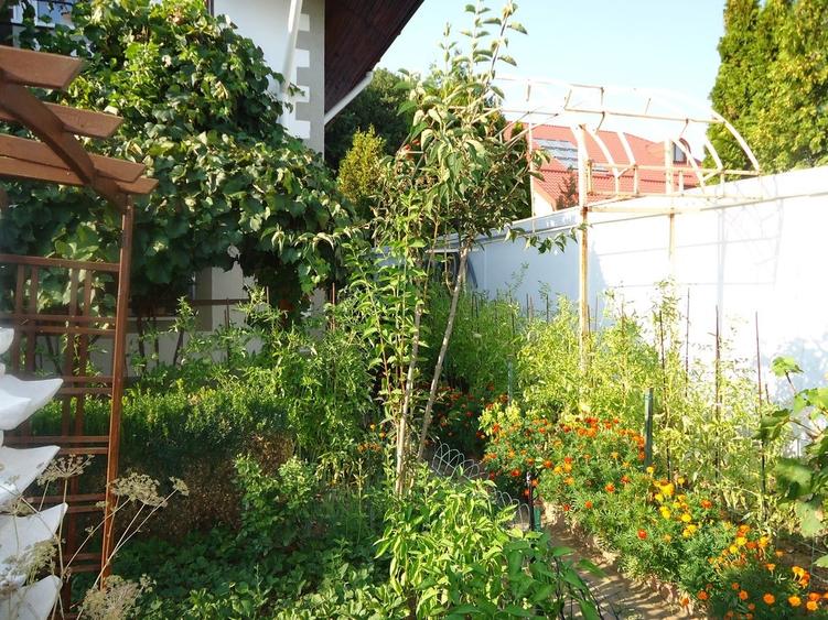 Casă cu 8 camere cu Piscina în Iancu Nicolae