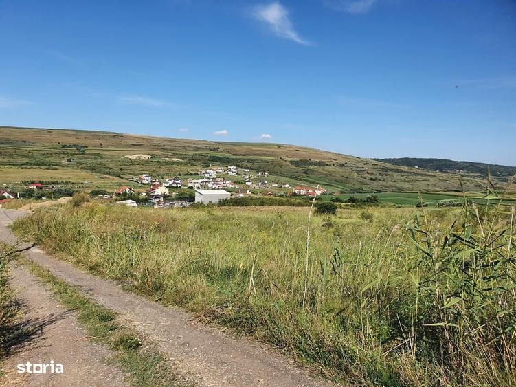 Teren Valea Chintaului 490/493 mp extravilan, curent la 1 metru - 11