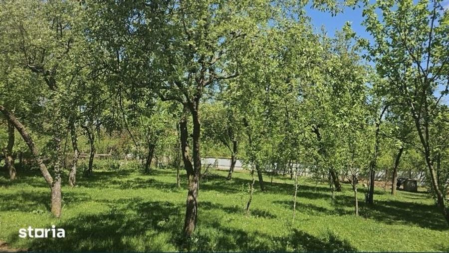 Teren de 1150 mp, în Drajna