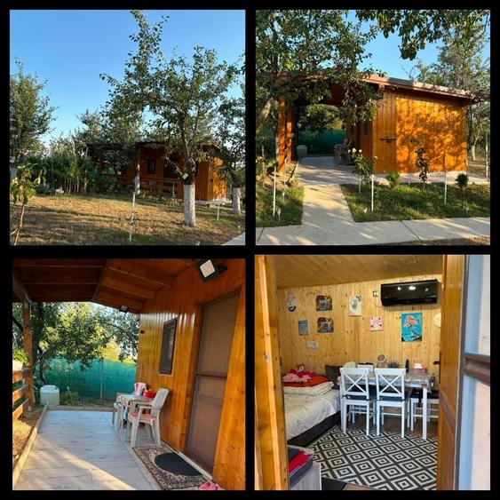 Casă cu 4 camere în Viile Satu Mare