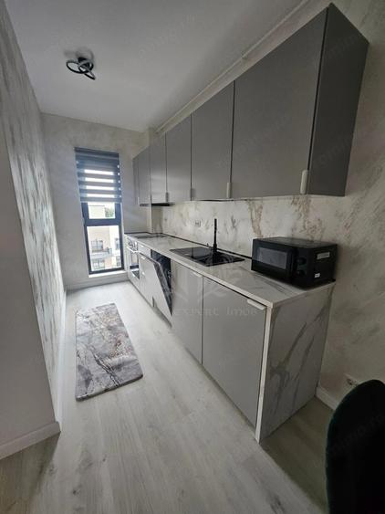 Apartament cu 2 camere, mobilat în Albert