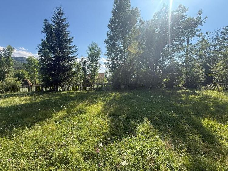 Teren Construcții intravilan de 1662 mp, în Trăisteni