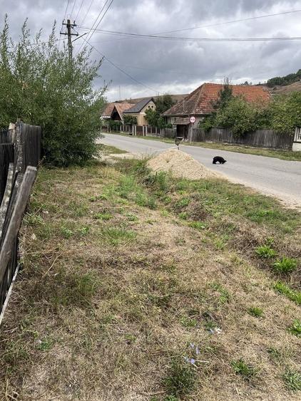 Teren de 1602 mp, în Petrindu