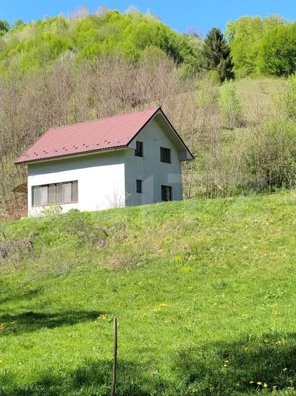 Casă individuală cu 6 camere cu Teren 4159 Mp în Năsăud