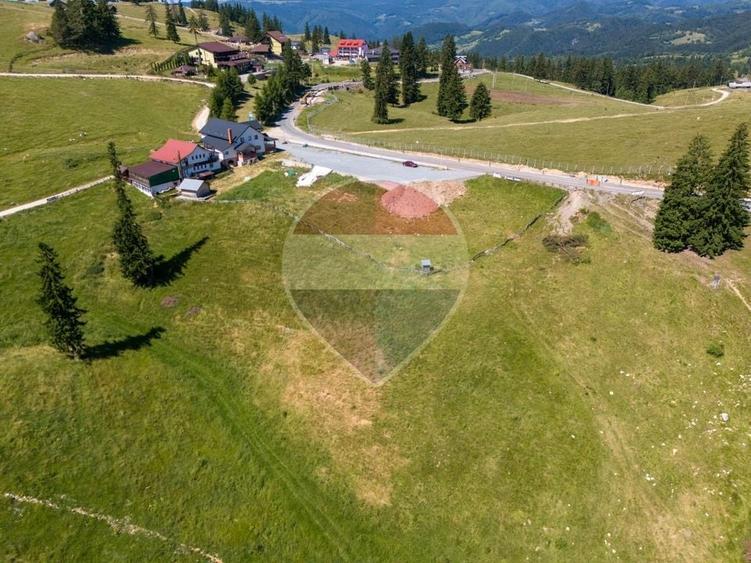 Teren agricol extravilan de 52519 mp, în Dâmbovicioara