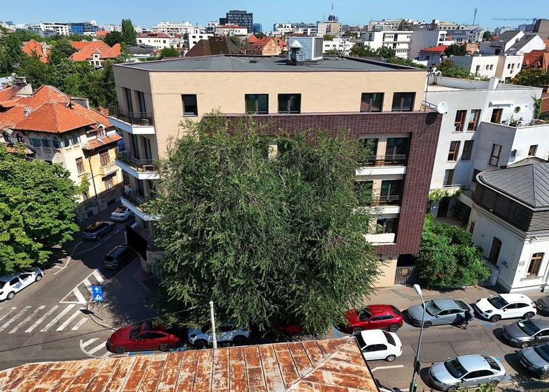Birou, de 244 mp, în Dacia