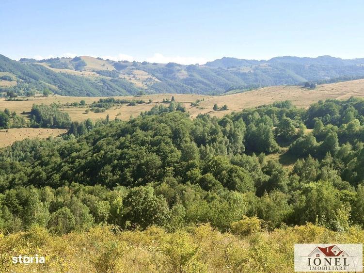 Casă cu 2 camere în Mogoș