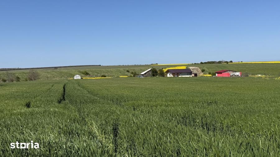 Teren de 436 mp, în Central