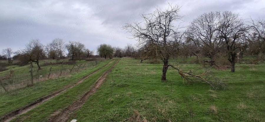 Teren de 3700 mp, în Central