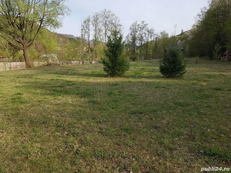 Teren de 9000 mp, în Pângărați