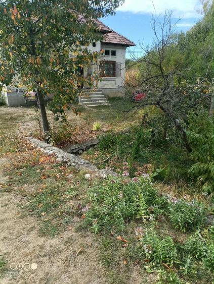 Casă cu Teren 2500 Mp în Măldărești