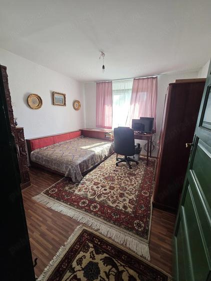 Casă cu Teren 1600 Mp în Viișoara