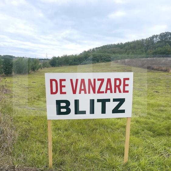 Teren agricol extravilan de 5800 mp, în Exterior Vest