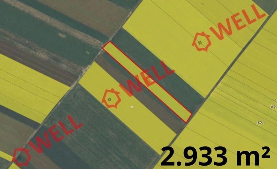 9 terenuri agricole de vânzare pe teritoriul administrativ al comunei Chichiș! - 4