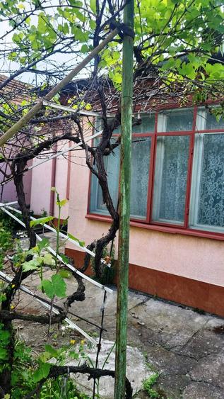 Casă individuală cu 3 camere cu Canalizare în Micro 5