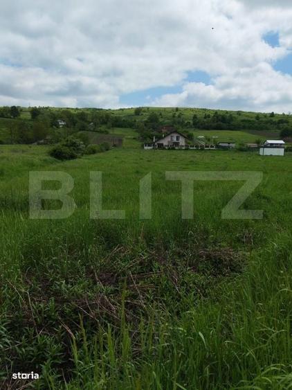 Teren intravilan de vanzare, front 42 m 33,5 ari, zona Zavoaie - 1