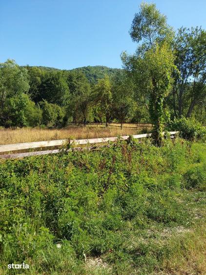 Teren de 6254 mp, în Fârliug