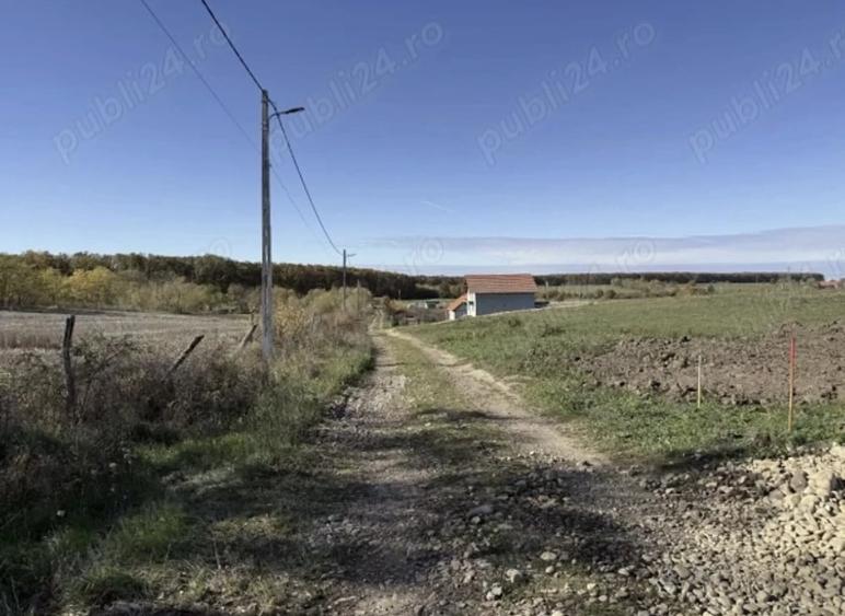 Teren de 500 mp, în Central