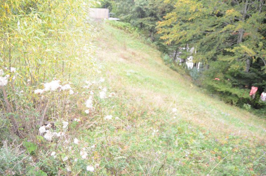 Teren de 1300 mp, în Valea Alba