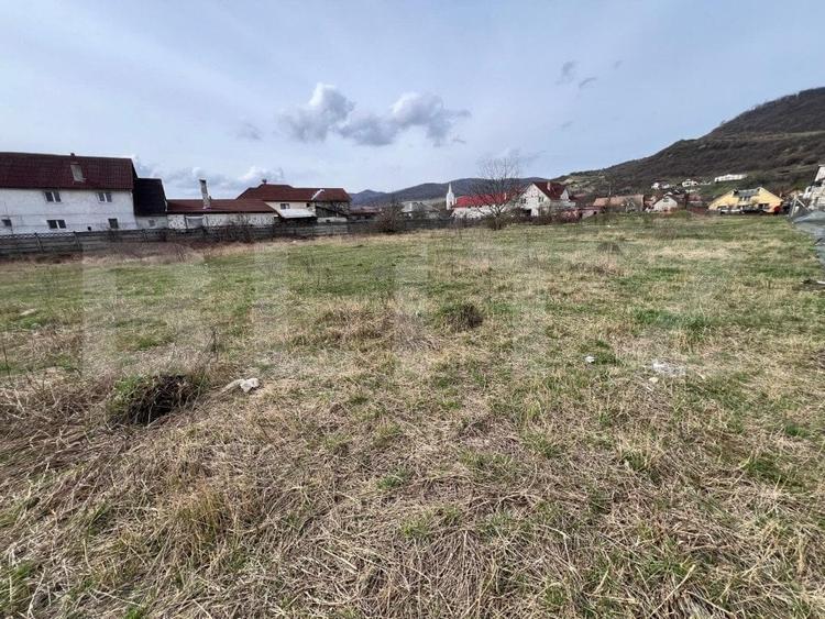 Teren Construcții intravilan de 4400 mp, în Viișoara